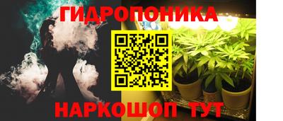 spice Гуково